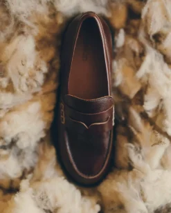 Barcelo*Sessùn Online