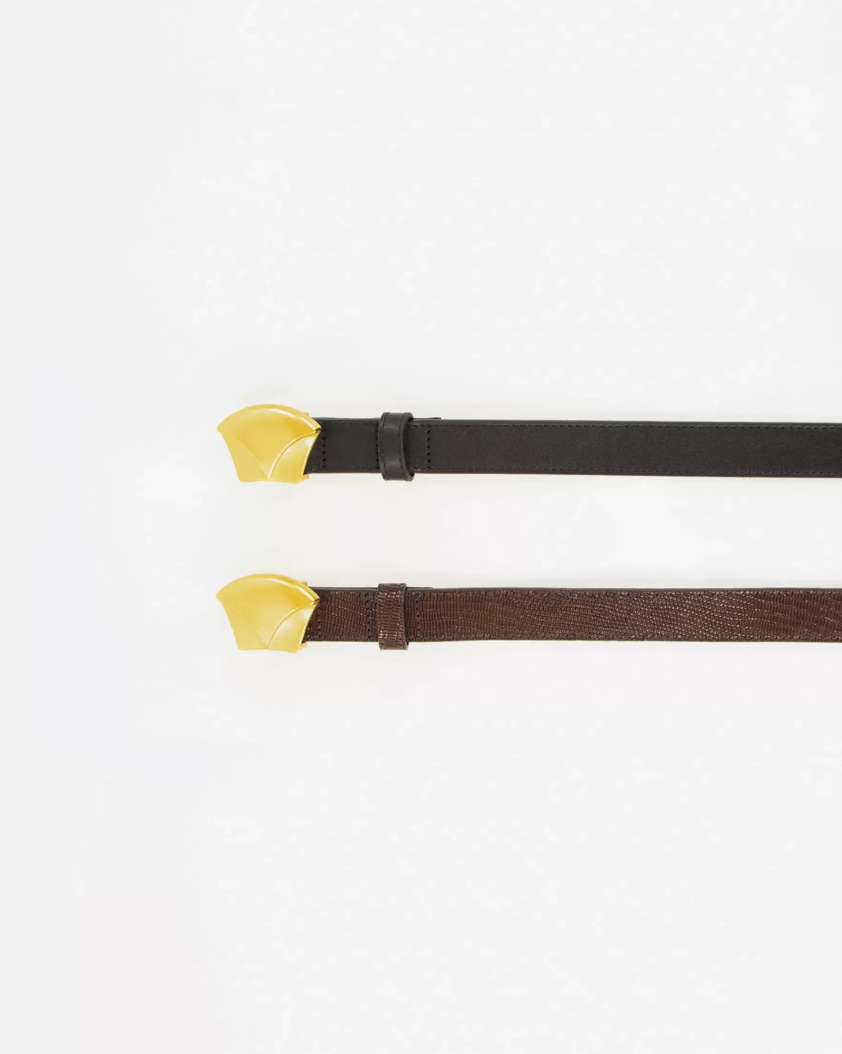 Diviluz belt*Sessùn Online